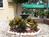 Americas Best Inns St Petersburg from Hotels.com