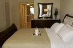 Hampton Inn Denville