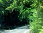 Hana Highway