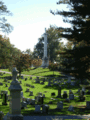 Tn-cem46637583_113099157228