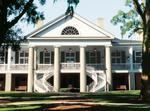 Ford Plantation , The