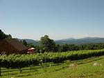 Fox Meadow Vineyards and Winery::Virginia.org