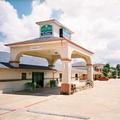 Oxford Inn and Suites Webster
