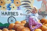 Harbes Family Farm