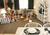 Ft Lauderdale Beach Resort Hotel and Suites::ProfessionalTravelGuide.com