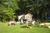 Edgewater Inn & Cottages::Hotels.com