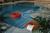 Hawthorne Inn and Conference Center::Orbitz