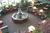 Drury Inn And Suites Springfiel::ProfessionalTravelGuide.com