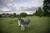 Farmhouse Bed & Breakfast::TripAdvisor