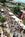 Inn At Cherry Creek::Orbitz