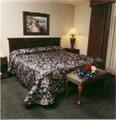 Tn-m89803_room_01_f