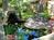 The Magnolia House::BedAndBreakfast.com