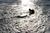 Barefoot Beach::Ira Spitzer