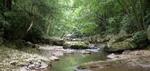 Bear Creek Rearing Station