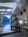 Virginia Museum of Natural History