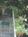 The Elephant Walk::BedAndBreakfast.com