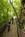 Holiday Inn New River Gorge::Priceline.com