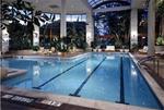 Tn-805211_pool_01_f