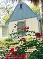 Harvey Street B&B