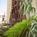 Glen Capri Inn & Suites - San Fernando Rd from Yahoo! Travel