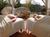 Spa LaLe::SpaFinder.com