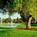 Lake San Marcos Resort from Expedia