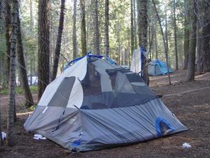 Crane Flat Campground::Hikemaster, venice