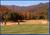 Fairways of the Mountains::Priceline.com