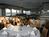 Lido Beach Resort::Orbitz