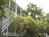 Coco Plum Inn Bed and Breakfast::BedAndBreakfast.com