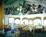 Catalina Canyon Best Western Hotel - Catalina Spa::Orbitz