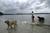 Dog Beach::Cary Edmondson