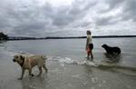 Tn-staffdogbeach1_t180