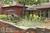 Cedar Rock Inn::BedAndBreakfast.com