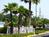 Best Western Starke::Yahoo! Travel