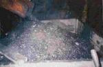 9 Coal Mine and Museum