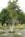 Cedar Rock Inn::BedAndBreakfast.com