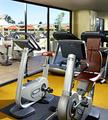 Tn-ana_sutt-fitns-1