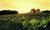 The Spa at Chateau Elan from I.travelocity.com.edgesuite.net