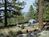 Toad Springs Camp from Forestcamping.com