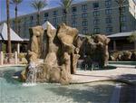 Tn-008524_pool_01_f