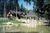 Bears Lair Bed & Breakfast::BedAndBreakfast.com