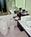 Deauville Beach Resort Miami Beach::Expedia