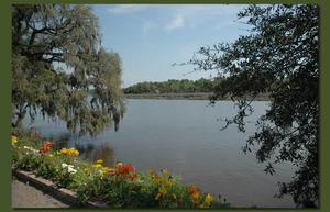 Magnolia Plantatioin & Gardens::Magnolia Plantation and Gardens