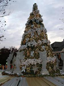 Dollywood::ThrillNetwork.com