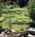 Lithia Springs Resort And Gardens::BedAndBreakfast.com