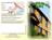 Cornin Inn::ProfessionalTravelGuide.com