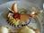 High Pointe Inn::BedAndBreakfast.com