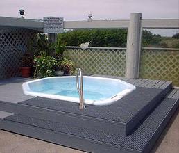 Web-sea_gull-hottb-1