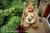 South Kona Hideaway::BedAndBreakfast.com